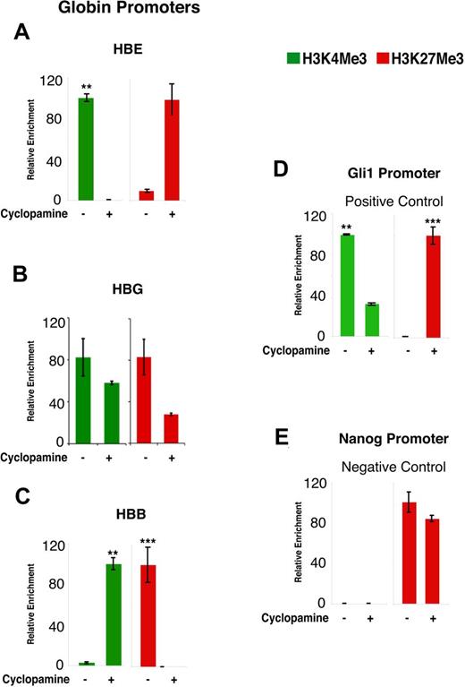 Figure 5. Histone-modification studies using H3K4Me3 (active) and H3K27Me3 (repressive) antibodies in CD45+ hEBs. (A) Active HBE promoter marks are present in controls with a strong shift to repressive marks after Hh inhibition. (B) The HBG promoter shows active marks in both control and cyclopamine conditions, but has elevated repressive marks in control conditions. (C) The HBB promoter shows active marks after cyclopamine treatment only, with repressive marks observed in the control condition. (D) Positive control Gli1 promoter was repressed after cyclopamine treatment and uniquely displayed active marks in control conditions. (E) Negative control Nanog promoter exhibited repressive marks irrespective of treatment used for hEBs. Significance was measured with 1-tailed t tests. **P < .01; ***P < .001.