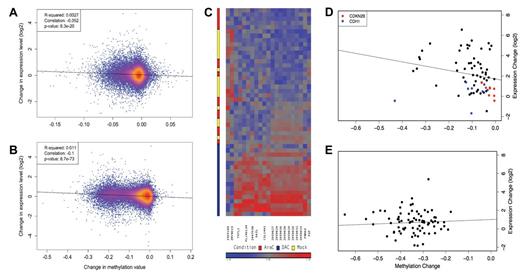 Figure 7. DAC-induced changes in expression and methylation. (A-B) Change in log2 expression versus change in mean methylation value at promoter-associated CpGs between DAC and mock-treated samples. The mean methylation value was calculated using all promoter CpGs annotated for each RefSeq transcript. A representative case (721214, panel A) is shown, as well as the case with profound DAC-induced hypomethylation (775109, panel B). (C) Heatmap representation showing probes with consistent expression changes (fold-change > 1.5 and FDR < 0.05) across all 18 AML samples. (D-E) Change in log2 expression versus change in mean methylation value at promoter-associated CpGs between decitabine and mock-treated samples at a selected group of transcripts. (D) Black points represent 7 genes (TKTL1, H19, COL14A1, PGF, DAZL, PNMA5, and AB128832) up-regulated by DAC treatment (each point represents a single transcript in a single AML sample). Also shown are CDKN2B and CDH1, 2 genes commonly reported to be regulated by methylation in AML cells. (E) Points represent individual transcripts (SCARB1, RSRC1, CYTH4, WDR87, SIPA1L3, MEGF6, CCDC62, ELF2, NCL, and SNORA75) with the promoter CpGs that have largest DAC-induced change in methylation.