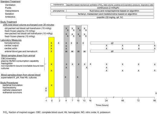 Figure 1. Study timeline.