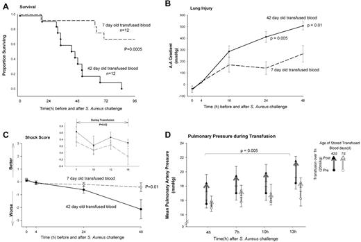 Figure 2. Survival curves. (A) Kaplan-Meier plot over the 96 hours study comparing animals challenged with intrapulmonary S aureus and exchange transfused 42- (solid circle, solid line) or 7-day-old stored blood (open circle, dashed line). (B) Serial measures of lung injury. Arterial-alveolar oxygen gradient shows lung damage was significantly worse (higher) in the animals with pneumonia receiving 42- (solid circle, solid line) versus 7-day-old (open circle, dashed line) stored blood at 24 hours (P = .005) and 48 hours (P = .01) after bacterial challenge. (C) Degree of shock after exchange transfusion. Shock reversal score accounts for the level of vasopressor support (norepinephrine) needed to maintain the mean arterial pressure at a preset normal level for canines (mean 80 mmHg). Only after 48 hours did bacterial challenge and transfusion of 42-day-old blood produce a significantly worse (lower) shock reversal score (P = .01). (Inset) Degree of shock during exchange transfusion. In contrast, the shock reversal score was improved (higher) in the 42 compared with 7-day-old stored blood (P = .02) during the period of transfusion (7-16 hours). (D) Pulmonary artery pressures during transfusions. Mean pulmonary artery pressures (mPAP) immediately before (circle) and after (triangle) each of the 4 exchange transfusions of 20 mL/kg-stored blood. The difference between pre- and post-mPAP (thick line) was greater with transfusion of 42- (solid symbol, black line) compared with 7-day-old (open symbol, gray line) blood (P = .005, the 4 exchanges averaged). Data presented as mean ± SE.