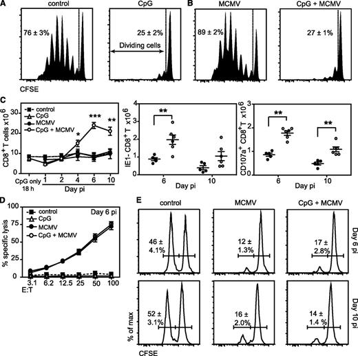 Figure 1. Effective MCMV-specific CD8+ T-cell responses are elicited after inhibition of cross-presentation. (A) The cross-presenting capacity of DCs after CpG administration was assessed by measuring the proliferation of CL4 TCR transgenic HA-specific CD8+ T cells. BALB/c mice treated with saline (control) or 20 nmol CpG (CpG) received CFSE-labeled leukocytes from CL4 transgenic mice. Cell-associated HA was administered 18 hours later. Proliferation of CL4 CD8+ T cells was measured in the spleen 4 days after transfer. Results are representative of 3 experiments with at least 2 mice per group. (B) The cross-presenting capacity of DCs after CpG activation and MCMV infection was assessed as in panel A, except that mice were infected IP with MCMV at the time of injection of cell-associated HA. Results are representative of 3 experiments with at least 2 mice per group. (C) BALB/c mice received either saline or CpG 18 hours prior to infection with MCMV (5 × 103 PFU per mouse) and T-cell responses were measured at various times PI. CD8+TCRβ+ (left), IE1-specific CD8+TCRβ+ (middle), and CD107a+CD8+TCRβ+ (right) cells were enumerated in the spleens of mice that were infected with MCMV with or without CpG pretreatment. Data are pooled from 2 to 4 independent experiments (where n = 5-12 mice per time point), except at day 1 PI (where n = 3) (*P < .05, **P < .01, ***P < .001). (D) The lytic activity of antiviral, IE1-specific CD8+ T cells was measured ex vivo by harvesting splenocytes on day 6 PI and culturing them with Cr51-labeled, IE1-pulsed P815 target cells for 4 hours at various E:T ratios. Specific lysis was determined as noted in supplemental Methods. Data are from 2 independent experiments (where n = 6 infected mice per group). (E) The lytic activity of antiviral, IE1-specific CD8+ T cells was measured using an in vivo CTL assay. Untreated or CpG pretreated mice were infected with MCMV (5 × 103 PFU per mouse IP); at days 5 and 9 PI, the mice received a 1:1 mixture of CFSElo IE1 peptide-pulsed and CFSEhi unpulsed splenocytes IV. Spleens were harvested on days 6 and 10 PI and IE1-specific CTL killing measured by flow cytometry as the loss of CFSElo IE1-pulsed targets compared with CFSEhi unpulsed targets. Histograms are representative of 2 independent experiments (n = 4-6 mice per group per time point). Percentages shown are mean ± SEM. E:T, effector to target ratio.