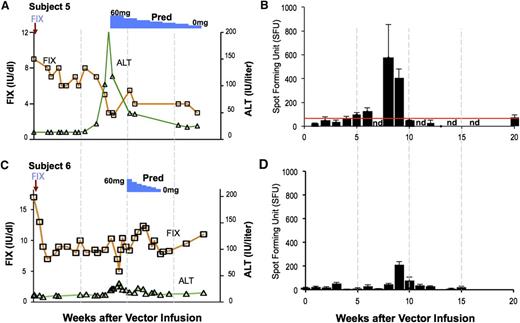 Figure 5. T-cell–mediated immunity to the capsid in the AAV8-F.IX trial. (A-B) Subject 5 received a vector dose of 2 × 1012 vg/kg. At week 8 postinfusion, his F.IX levels (red line) began to decline and his liver enzymes increased (ALT, green line). Concomitantly, capsid-specific T cells became detectable in peripheral blood. A course of prednisolone was associated with resolution of the transaminitis and partial rescue of F.IX transgene expression levels. (C-D) Subject 6, dosed at 2 × 1012 vg/kg, experienced an increase in liver enzymes and was promptly treated with steroids. In this subject, increase in liver enzymes and decrease in F.IX transgene expression levels was also associated with detection of capsid-reactive T cells in PBMCs. Reprinted from Nathwani et al.4
