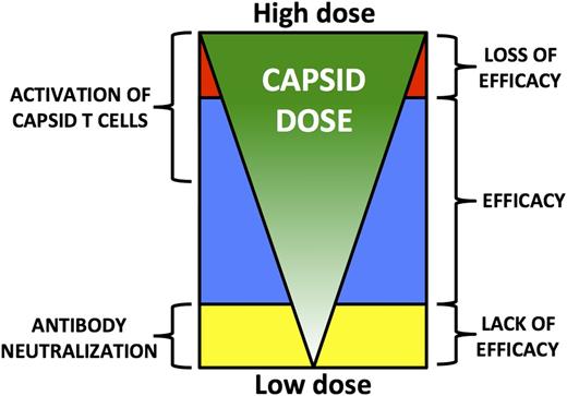 Figure 6. Model of the relationship between capsid dose and outcome of gene transfer following systemic vector delivery. Low capsid doses are more likely to be neutralized by anti-AAV antibodies, even low-titer NAb. This results in lack of efficacy. Higher capsid doses overcome this limitation, leading to therapeutic efficacy. Capsid-specific T-cell activation is detected as the total capsid dose administered increases. This does not affect efficacy until a critical threshold is reached, above which immune-mediated clearance of transduced target cells results in loss of efficacy.