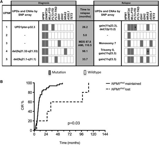 Figure 4. Genetic profiling and CIR in patients who lost or retained NPM1mut. (A) Genetic profiling by SNP array and gene mutation analyses of 5 patients with loss of NPM1mut at relapse. Bars marked by “X” represent different mutation types found at diagnosis and relapse. (B) CIR in patients with loss of NPM1mut and patients who retained NPM1mut.