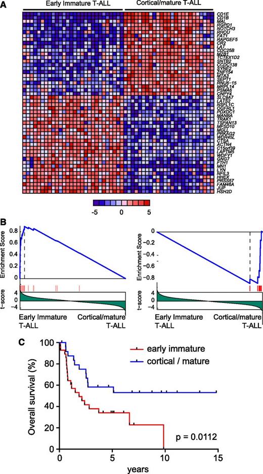 Figure 1. Prognostic value of immature adult T-ALL. (A) Top 50 differentially expressed genes between early immature and cortical/mature adult T-ALL. Genes in the heat map are shown in rows, and each individual sample is shown in 1 column. The scale bar shows color-coded differential expression from the mean in standard deviation units, with red indicating higher levels and blue lower levels of expression. (B) Gene Set Enrichment Analysis of genes associated with pediatric ETP leukemias in early immature vs cortical/mature adult T-ALLs. (C) Kaplan-Meier survival curves in adult T-ALL patients treated in ECOG clinical trial ECOG2993 with early immature vs cortical/mature gene expression signatures.