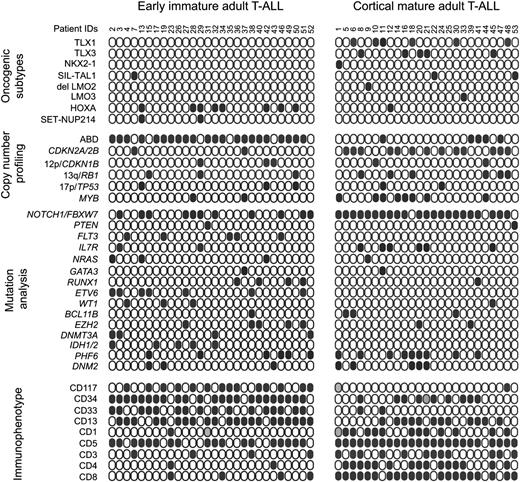 Figure 3. Genetic and immunophenotypic characteristics of adult T-ALL. Schematic comparison of copy number lesions, genetic mutations, and surface marker expression between early immature and mature/cortical adult T-ALL. Solid circles represent positive leukemia samples. Data were not available for leukemia patients represented by gray filled circles. T-ALL oncogenic subtypes are based on aCGH alterations and microarray expression of T-ALL transcription factor oncogenes.