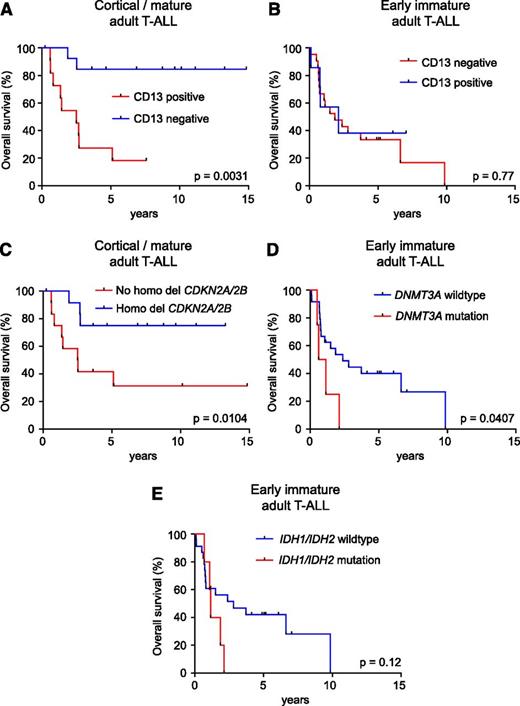 Figure 6. Risk stratification in early immature and cortical/mature adult T-ALL. (A) Kaplan-Meier survival curve of early immature adult T-ALLs treated in the ECOG2993 clinical trial according to CD13 expression. (B) Kaplan-Meier survival curve of cortical/mature adult T-ALLs treated in the ECOG2993 clinical trial according to CD13 expression. (C) Kaplan-Meier survival curve of cortical/mature adult T-ALLs treated in the ECOG2993 clinical trial according to the presence or absence of homozygous CDKN2A/CDKN2B deletion. (D) Kaplan-Meier survival curve of early immature adult T-ALLs treated in the ECOG2993 clinical trial according to the presence or absence of DNMT3A mutations. (E) Kaplan-Meier survival curve of early immature adult T-ALLs treated in the ECOG2993 clinical trial according to the presence or absence of IDH1/IDH2 mutations.