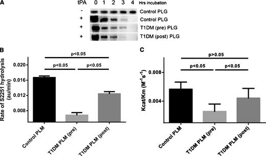 Figure 3. Effects of glycemia on plasmin activity. (A) Time course of incubation of plasma-purified plasminogen with tPA in the absence of fibrin was performed to ensure complete conversion to plasmin. Samples were analyzed by western blot using an anti-plasminogen antibody for detection. (B) S2251 chromogenic substrate (800 μm/L) analysis of plasmin protease activity using plasmin generated by preincubation with tPA of control plasminogen (n = 9), protein purified from T1DM plasma at baseline (pre, n = 9), or after improving glycemic control (post, n = 9). (C) Analysis of plasmin protease kinetics with Kcat/Km values using substrate concentrations between 50 and 1600 μmol/L. PLM, plasmin; PLG, plasminogen.