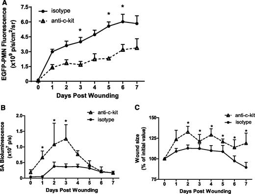 Figure 1. HSPCs contribute to the innate immune response during cutaneous S aureus infection. Lys-EGFP mice were treated with a mAb to c-kit to deplete BM HSPC numbers, or to an isotype control antibody. Full-thickness skin wounds 6 mm in diameter were inoculated with 1 × 107 CFUs of a bioluminescent S aureus strain. (A) Kinetics of EGFP-PMN fluorescence after wounding and inoculation at day 0. (B) S aureus bioluminescent signal and (C) wound size as the percentage of day 0 value all measured using whole animal fluorescence imaging of live animals for 7 days after wounding. Data represent 5 to 8 mice per group and are expressed as mean ± standard error of the mean (SEM) (*P < .05).
