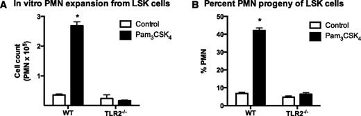 Figure 5. LSK cells isolated from the BM of WT but not TLR2 knockout mice undergo granulopoiesis in response to in vitro Pam3CSK4 stimulation. A total of 5000 FACS LSK cells were plated per well and were stimulated with 1 µg/mL of the TLR2 agonist Pam3CSK4 or vehicle control. Cells were enumerated at day 7. PMN number (A) and percentage (B) for each well was determined by anti-Ly6G staining and flow cytometry. Data represent 3 mice per group and are shown as mean ± SEM (*P < .05).