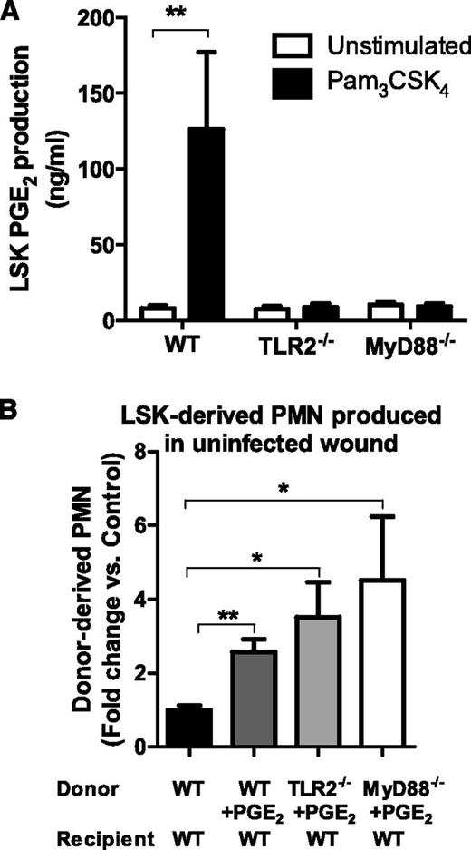 Figure 7. TLR2-activated LSK cells produce PGE2, and PGE2 stimulation of LSK cells results in granulocyte differentiation in the absence of infection. (A) FACS lineage-negative, c-kit, and Sca-1–positive LSK cells were incubated in vitro with the TLR2 agonist Pam3CSK4 or vehicle control, and PGE2 in culture supernatant was measured at 72 hours by enzyme-linked immunosorbent assay. Data represent 3 mice per group during 3 experiments. (B) BM LSK cells derived from CD45.2+-deficient, WT, TLR2-deficient, or MyD88-deficient mice were incubated with PGE2 and were transferred to the uninfected wounds of CD45.1+ mice. The donor-derived CD45.1+-PMN number from the wounds of the respective recipient mice was enumerated by flow cytometry and was plotted relative to the untreated WT LSK cells all in saline-treated wounds 7 days after transfer. Data represent 4 mice per group. All data shown as mean ± SEM (*P < .05; **P < .01).