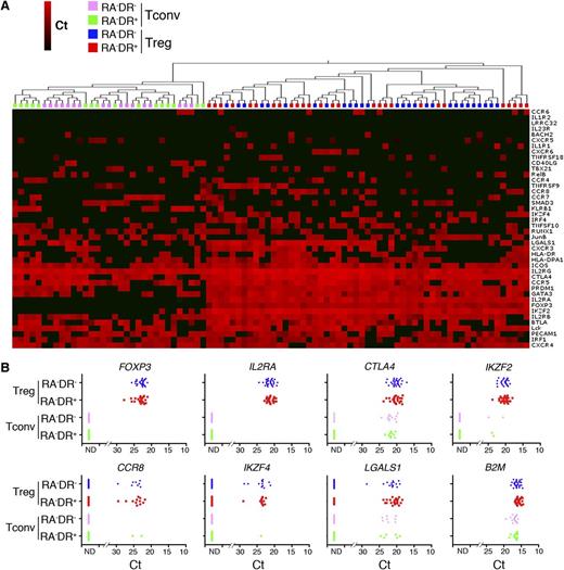 Figure 6. Single-cell analysis of Treg patients with acute graft-versus-host disease. (A) Single cells from the indicated CD4+ T-cell populations from aGVHD patients were sorted into 96 cells plates without prior stimulation and analyzed using 48.48 Dynamic Arrays. The heat map of the single-cell gene expression profiling was obtained by 2-dimensional hierarchical clustering using Euclidean distance and average linkage. (B) Single-cell mRNA expression of Treg markers (FOXP3, IL2RA, CTLA4, Helios, LSGALS, and IKZF4), chemokine receptor CCR8 and the housekeeping gene B2M were plotted for RA−DR− and RA−DR+ Tregs and Tconvs. One of 3 analyses of 3 different patients is shown.