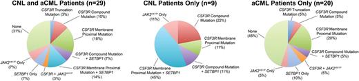 Figure 1. Mutations in CSF3R and SETBP1 are common in CNL and aCML. Percentages of CSF3R, SETBP1, and JAK2 V617F mutations in 29 patients with CNL or aCML are shown. CSF3R mutations arise in 2 classes, nonsense or frameshift mutations that truncate the cytoplasmic tail (truncation mutations) and point mutations in the extracellular domain (membrane proximal mutation), and some cases exhibit both classes of mutations on the same allele (compound mutations). These mutations can occur in isolation or in combination with other mutant genes, with 21% of patients having both CSF3R and SETBP1 mutations. One patient exhibited mutations in both CSF3R (G683R) and JAK2 (V617F); however, the clonality of this double mutation could not be established due to limited material, presenting the possibility of polyclonal populations of tumor cells with distinct mutational profiles. The frequencies of each class of CSF3R mutation alone or in combination with SETBP1 or JAK2 are shown for a combined cohort of CNL and aCML (n = 29), the CNL cases only (n = 9), and the aCML cases only (n = 20).