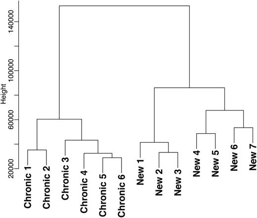 Figure 1. The genome-wide expression profiles were clustered in a dendrogram plot that represents the hierarchical clustering analysis of differentially expressed genes from the T-cell genome-wide expression profiles of children with newly diagnosed (n = 7) and chronic ITP (n = 6). No overlap was found between these 2 phases of the disease.
