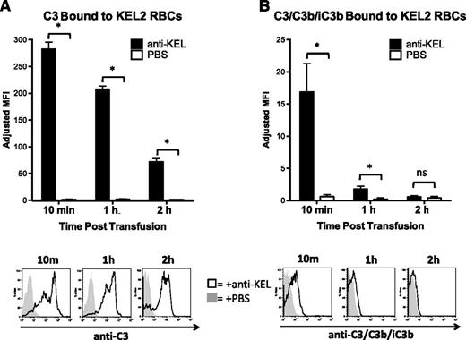 Figure 3. C3 is rapidly inactivated after binding to transfused incompatible KEL RBCs. (A) Total C3 bound to circulating KEL2 RBCs in animals passively transferred with polyclonal anti-KEL (black bars, solid histograms) or saline (open bars, shaded histograms); representative plots are shown. (B) Active forms of C3 (C3/C3b/iC3b) bound to circulating KEL2 RBCs in animals passively transferred with polyclonal anti-KEL (black bars, solid histograms) or saline (open bars, shaded histograms). These data are representative of 3 independent experiments, with 3-5 animals/group/experiment. *P < .05.