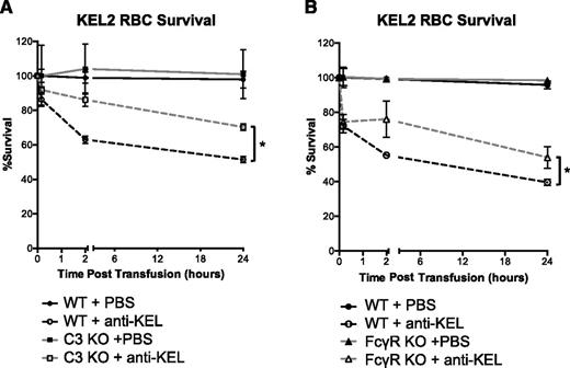 Figure 4. Clearance of transfused KEL2 RBCs occurs in part through FcγR-mediated or C3-mediated pathways. Naïve WT, C3KO, or FcγR KO recipients were passively immunized with PBS or 25 μL of anti-KEL antisera and subsequently transfused with DiI-labeled KEL2 and DiO-labeled WT RBCs. (A) Clearance curves of DiI-positive KEL2 RBCs remaining in circulation posttransfusion in WT or C3KO recipients passively transferred with polyclonal anti-KEL (dashed line) or saline (solid line). (B) Clearance curves of DiI-positive KEL2 RBCs remaining in circulation posttransfusion in WT or FcγR KO animals passively transferred with polyclonal anti-KEL (dashed line) or saline (solid line). These data are representative of 4 (panel A) or 5 (panel B) independent experiments, with 3-5 animals/group/experiment. *P < .05.