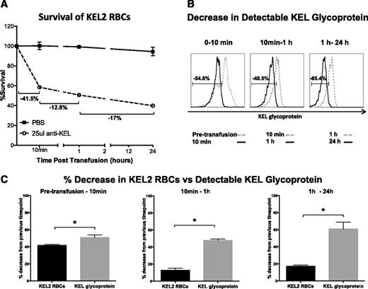 Figure 7. Decrease in detectable KEL glycoprotein beyond 10 minutes cannot solely be attributed to clearance of KEL2 RBCs with the highest antigen level. (A) Following passive immunization and transfusion as previously described, we calculated clearance rates of DiI-labeled KEL2 RBCs between time points. (B) Changes in detectable KEL glycoprotein levels between time points was calculated by creating a gate that includes the cells from a particular time point and overlaying that gate onto the antigen level of the previous time point to determine the percentage change. (C) Representative bar graphs comparing the data from panels A and B. These data are representative of 5 independent experiments, with 3-5 animals/group/experiment. Error bars represent standard deviation. *Statistical significance, P < .01.