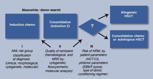 Time frame and parameters for decision making prior to allogeneic hematopoietic stem cell transplantation (HSCT) in AML. HCT-CI, hematopoietic stem cell transplantation comorbidity index; EBMT, European Group for Blood and Marrow Transplantation. Professional illustration by Marie Dauenheimer.
