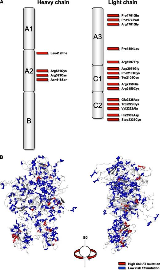Figure 3. Distribution of F8 missense mutations associated with inhibitor development. (A) Two-dimensional and (B) three-dimensional structure of the factor VIII protein.