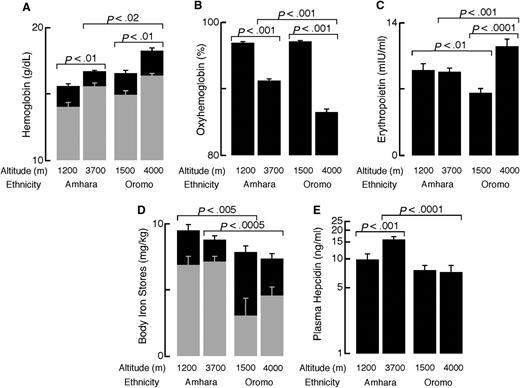 Figure 1. Oxyhemoglobin percentage, hemoglobin, ferritin, hepcidin, and erythropoeitin of Ethiopians differ by ethnicity at high and low altitudes. A total of 116 high-altitude Amhara (27 females, age 32 ± 0.8 years), 49 low-altitude Amhara (9 females, 34 ± 1.4 years), 75 high-altitude Oromo (27 females, 28 ± 1.0 years), and 39 low-altitude Oromo (6 females, 25 ± 0.9 years) were included in the analyses. Data were analyzed using the JMP 9 statistical software (SAS Institute, Cary, NC). Data are reported as mean and standard error of the mean. (A) Hemoglobin was higher in men (black) compared with women (gray) in all populations (all P < .005). Hemoglobin was increased at high altitudes in both ethnic groups, but Oromo had higher hemoglobin than Amhara at high altitudes. Hemoglobin concentration was measured using the cyanmethemoglobin technique (Hemocue, Sweden) immediately after drawing venipuncture samples. (B) Oxyhemoglobin percentage was significantly lower among Ethiopians at high altitude compared with low altitudes. At high altitude (3700-4000 m), Oromo had significantly lower saturations than Amhara. (C) Amhara had no altitude differences in erythropoietin, whereas Oromo had significantly higher erythropoietin at high vs low altitude. Compared with the Oromo, Amhara had lower erythropoietin at high altitude and higher erythropoietin at similar low altitudes. Erythropoietin was measured in serum by ELISA (R&D Systems, Minneapolis, MN). Extreme outliers (EPO > 40 mIU/mL) were excluded in advance of statistical testing. (D) Body iron stores were significantly lower among women (gray bars) compared with men (black bars) except among low-altitude Amhara (all others, P < .01). Neither Amhara nor Oromo had altitude differences in body iron stores. At high altitudes, Amhara had higher body iron stores than Oromo. Body iron stores were calculated as previously described4 from serum transferrin receptor and ferritin concentrations, measured by enzyme immunoassay and radioimmunoassay (Ramco, Houston, TX), respectively. (E) Amhara highlanders had higher hepcidin than Amhara lowlanders and the Oromo at either altitude. Hepcidin was measured using enzyme-linked immunosorbant assay (ELISA, Bachem, UK) in heparinized plasma. Hepcidin was natural log transformed for statistical testing.