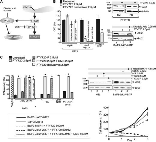 Figure 4. FTY720 phosphorylation is dispensable for its antileukemic activity on Jak2V617F cells. (A) Schematic representation of FTY720 conversion into FTY720-P and FTY720/PP2A interplay; inhibitors are indicated in black. (B) Effect of FTY720 and its non-immunosuppressive derivatives (OSU-2S and FTY720-S-regioisomer) on the clonogenic potential, expressed as percentage of CFCs, of Ba/F3, Ba/F3-Jak2V617F, and primary CD34+ PV cells (left). Jak2 expression in vehicle- and FTY720-treated CD34+ progenitors derived from the BM or PB of PV patients (top right). Jak2 expression in Ba/F3-Jak2V617F cells treated with the PP2A activator FTY720 alone or in combination with okadaic acid used at concentration (0.25 nM) that inhibits PP2A activity only (bottom right). (C) PP2A activity in Ba/F3-Jak2V617F, HEL, primary CD34+ NBM, and PV cells untreated or treated with FTY720 (2.5 µM) alone or in combination with the sphingosine kinase inhibitor DMS (2.5 µM), the immunosuppressive and S1PR1 agonist FTY720-P (2.5 µM), or with the nonimmunosuppressive FTY720 derivatives (FTY720-S-regioisomer and OSU-2S) (left). Jak2 protein levels in HEL cells untreated and treated with FTY720 (2.5 µM) alone or in combination with DMS (2.5 µM) or treated with FTY720-P (2.5 µM) (top right). Proliferation of Ba/F3-Jak2V617F cells (or Ba/F3-MigR1 used as a control) untreated or treated with FTY720 (500 nM) alone or in combination with DMS (500 nM) (bottom right).