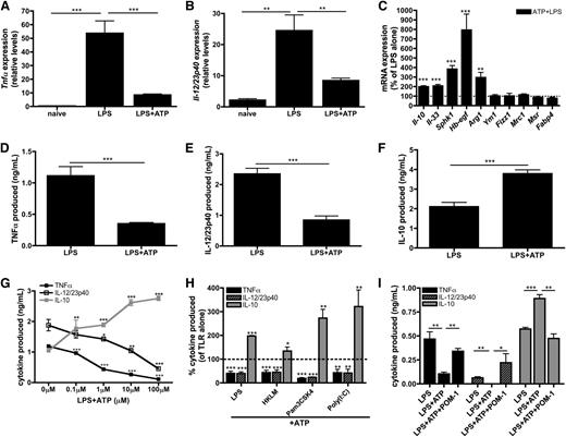 Figure 3. ATP promotes regulatory macrophage development. (A-B) Tnfα (A) and Il-12/23p40 (B) mRNA expression in naïve wild-type BMDMs or BMDMs stimulated with LPS in the absence or presence of 100 μM ATP was determined after 4 hours of stimulation. The means of 3 independent experiments ± SEM are shown. (C) The percent increase of regulatory macrophage-associated transcripts in wild-type BMDMs in the presence of LPS and 100 μM ATP are shown at 4 hours poststimulation by qRT-PCR. The dashed line represents the expression of regulatory transcripts induced by LPS alone. The means of at least 3 independent experiments ± SEM are shown. (D-F) Secreted levels of TNF-α (D), IL-12/23p40 (E), and IL-10 (F) by wild-type BMDMs stimulated with LPS in the absence or presence of 100μM ATP at 8 hours poststimulation. The means of 5 independent experiments ± SEM are shown. (G) TNF-α (closed squares; black line), IL-12/23p40 (open squares; black line), and IL-10 (closed squares; gray line) secreted by wild-type BMDMs stimulated with LPS in the presence of increasing concentrations of ATP. Cytokine levels were determined after 8 hours by enzyme-linked immunosorbent assay (ELISA). The means ± SD of triplicate determinations are shown and are representative of 3 independent experiments. (H) The percent of TLR-induced cytokines produced in the presence of 100 μM ATP. Cytokine levels were determined after 8 hours by ELISA and are relative to TLR stimulation alone (dashed line). The means of TNF-α (black bars), IL-12/23p40 (striped bars), and IL-10 (gray bars) production ± SD of triplicate determinations are shown and are representative of 3 independent experiments. Statistical analysis is relative to samples stimulated with TLR stimuli alone. (I) LPS-induced TNF-α (black bars), IL-12/23p40 (striped bars), and IL-10 (gray bars) production by human macrophages exposed to 100 μM ATP alone or in the presence of 10 μM POM-1 was determined by ELISA at 8 hours poststimulation. The means ± SD of triplicate determinations are shown and are representative of 2 independent experiments.