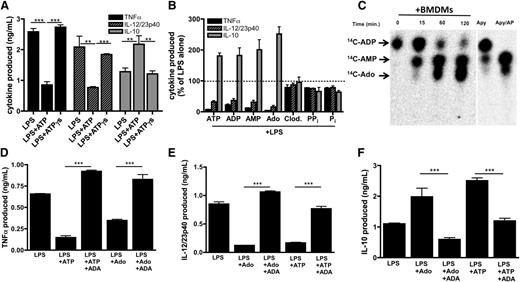 Figure 4. ATP-derived adenosine modulates inflammatory macrophage activation. (A) Wild-type BMDMs were stimulated with LPS in the absence or presence of 100 μM ATP or nonhydrolyzable ATPγs and TNF-α (black bars), IL-12/23p40 (striped bars), and IL-10 (gray bars) production was measured by ELISA 8 hours later. The means of 3 independent experiments ± SEM are shown. (B) Levels of TNF-α (black bars), IL-12/23p40 (striped bars), and IL-10 (gray bars) produced by wild-type BMDMs stimulated with LPS in the absence or presence of 100 μM ATP, ADP, AMP, adenosine (Ado), clodronate (Clod.), pyrophosphate, or phosphate. Cytokine levels were measured by ELISA after 8 hours. The means ± SD of triplicate determinations are shown and are representative of 3 independent experiments. Statistical analysis is relative to samples stimulated with LPS alone. (C) The kinetics of 14C-ADP hydrolysis by resting macrophages over time (left) was determined by TLC. Hydrolysis controls consist of apyrase alone for 5 min (Apy) or apyrase in the presence of alkaline phosphatase (Apy/AP) and 14C-ADP (right). Data are representative of at least 3 independent experiments. (D-F) Levels of TNF-α (D), IL-12/23p40 (E), and IL-10 (F) produced by wild-type BMDMs stimulated with LPS in the absence or presence of 100 μM ATP or adenosine in the absence or presence of 1 U/mL ADA. Cytokines were measured 8 hours after stimulation by ELISA. The means ± SD of triplicate determinations are shown and are representative of 3 independent experiments.