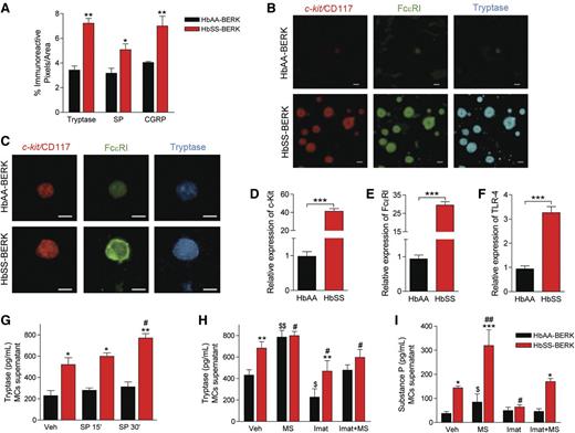 Figure 1. Mast cell activation occurs in sickle cell anemia. (A) ir pixels for tryptase, SP, and CGRP in the dorsal skin. *P < .05, **P < .01 vs corresponding HbAA-BERK (ANOVA, with Bonferroni). (B) Representative confocal images of dorsal skin sections showing mast cell–specific costaining for c-kit/CD117 (red), FcεRI (green), and tryptase (blue). (C) Skin mast cells in culture stained for c-kit/CD117 (red), FcεRI (green), and tryptase (blue). (D-F) Gene expression of c-kit/CD117 (D), FcεRI (E), and TLR-4 (F) in mast cells derived from skin, measured by reverse-transcription quantitative polymerase chain reaction (RT-qPCR), normalized to GAPDH mRNA, and shown relative to HbAA-BERK, which was given an arbitrary value of 1. ***P < .001 (Student t test). (G) Tryptase levels in the supernatant of skin-derived mast cells after incubation with vehicle (Veh) or SP for indicated time. Black bars, HbAA-BERK; red bars, HbSS-BERK. *P < .05, **P < .01 vs corresponding HbAA-BERK; #P < .05 vs vehicle HbSS-BERK (ANOVA, with Bonferroni). (H-I) Skin-derived mast cells incubated with imatinib mesylate (Imat, 10 μM) and/or morphine sulfate (MS, 1 μM) for 24 hours. Culture medium showing tryptase (H) and SP (I) levels. *P < .05, **P < .01, ***P < .001 vs corresponding HbAA-BERK, #P < .05, ##P < .01 vs HbSS-BERK vehicle, $P < .05, $$P < .01 vs HbAA-BERK vehicle (Student t test). Each value is the mean ± SEM of 5 mice of each type, and each image represents images from the skin or skin-derived mast cells from 5 different mice.