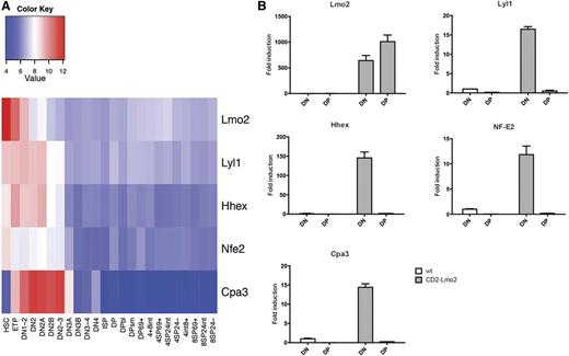 Figure 5. Downregulation of Lyl1 during differentiation of wild-type and Lmo2-transgenic thymocytes. (A) Expression of Lmo2, Lyl1, and their target genes during normal T-cell differentiation. Data from the Immgen Database37 were used to determine the expression levels of the indicated genes during normal αβ T-cell differentiation. ETP, early thymocyte precursor; ISP, CD8+ intermediate single-positive cell. (B) Downregulation of Lmo2 target genes during T-cell differentiation in Lmo2-transgenic mice. DN and DP thymocytes were sorted from 8-week-old mice of the indicated genotypes and used to generate cDNA, which was amplified by real-time PCR using primers specific for the indicated genes. Data are represented as mean +SD of triplicate values and are representative of 3 separate experiments.