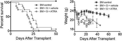 Figure 2. Increased RA levels and RAR signaling exacerbates GVHD. Survival and weight curves of lethally irradiated B10.BR recipients injected with 107 BM cells and 5 × 106 splenocytes from B6 mice are shown (n = 16/group). Subgroups were treated with vehicle (filled circles) or ATRA (open circles); P = .017. Data are combined from 2 experiments with similar results. **P > .01; ***P > .001.