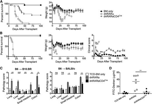Figure 3. Inhibiting RAR signaling in donor T cells prevents GVHD lethality. (A) Survival and weight curves of lethally irradiated B10.BR recipients of 107 BM cells and 107 splenocytes from B6 mice. Recipients of splenocytes from dnRARα-CD4Cre mice (filled circles) survived significantly longer than recipients of dnRARα splenocytes (open circles; P < .001; n = 16/group). (B) Survival, weight, and clinical GVHD scores curves of lethally irradiated BALB/c recipients of 107 BM cells and 5 × 106 splenocytes from B6 mice. Recipients of splenocytes from dnRARα-CD4Cre mice (filled circles) survived significantly longer than recipients of dnRARα splenocytes (open circles) (P < .001; n = 13-14/group). (C) Tissues (lung, liver, spleen, small intestine, and colon) from B10.BR recipients or BALB/c recipients were harvested on day 21 posttransplant, stained with hematoxylin and eosin, and scored for GVHD (means ± standard error). (D) FITC-dextran was orally administered to BALB/c recipients on day 21. Serum FITC-dextran levels were measured 4 hours later. Mice received wt BM cells unless otherwise indicated (P = .007). Data are combined from 2 experiments with similar results or 1 experiment each with 4 to 5 (C) or 5 to 7 (D) mice per group. (C-D) *P > .05; **P > .01; and ***P > .001.