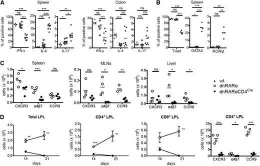 Figure 4. Blocking RAR signaling in donor T cells impairs integrin and chemokine expression and skews T-cell polarity toward a Th2 phenotype. (A-D) Lethally irradiated BALB/c recipients were transplanted with B6 107 BM cells and 1.5 × 106 wt– (filled triangles), dnRARα− (open circles), or dnRARα-CD4Cre– (filled circles) purified T cells. Splenocytes, MLNs, liver cells, and colon lamina propria lymphocytes (LPLs) were isolated on indicated days and analyzed by fluorescence-activated cell sorter. Cells were gated on H-2Kb-positive events. (A) The frequency of CD4+ cells expressing IFN-γ, IL-4, and IL-17 from spleen and colon LPLs is shown. (B) The frequency of CD4+ cells expressing T-bet, GATA3, and RORγt from spleen is shown. (C) The absolute number of CD4+ cells expressing CXCR3, α4β7, and CCR9 in spleen, MLN, and liver cells is depicted. (D) The absolute number of total, CD4+, and CD8+ cells and the absolute number of CD4+ cells expressing CXCR3, α4β7, and CCR9 in colon LPLs are shown. (A) Data were combined from 2 experiments with similar results (n = 4 to 8/group). (B,D) Data were obtained from 1 experiment each with 4 mice per group. (C) Data were from 1 representative of 3 independent experiments. *P < .05; **P < .01; and ***P < .001.