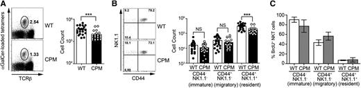 Figure 2. DOCK8 is required for maintenance of the thymic resident NK1.1+ NKT cells. (A) Total TCRβ+αGalCer-tetramer+ thymic NKT cells in WT (closed circles) and DOCK8cpm/cpm (CPM, open circles) mice gated on CD8-negative live lymphocytes. (B) Total thymic TCRβ+αGalCer-tetramer+ NKT cells at different stages of development in WT (closed circles) and DOCK8cpm/cpm (CPM, open circles) mice. (C) BrdU labeling of thymic NKT cell subsets in WT (open columns) and DOCK8cpm/cpm (CPM, filled columns) mice (n = 5 for each) 9 days after its addition to drinking water. Columns shows arithmetic mean, error bars show standard error of the mean, and statistical significance was tested by unpaired t test; *P < .05; **P < .01; ***P < .001. BrdU labeling data are representative of 3 independent experiments.