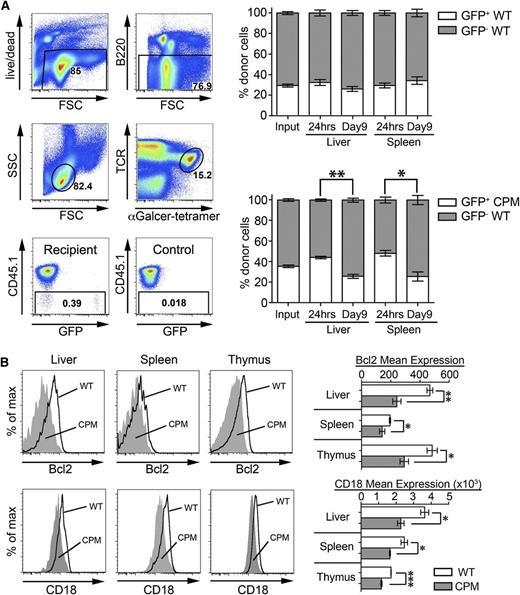 Figure 4. Decreased survival of NKT cells in the absence of DOCK8. (A) Adoptive transfer of mixed WT (CD45.2/GFP+) and WT or DOCK8cpm/cpm (CPM, CD45.2 GFP−) splenic NKT cells into WT (CD45.1) recipients. Gating strategy to define donor cells is illustrated showing recipient and control samples (left). Graphs show the proportion of CD45.2 GFP+ and GFP− NKT cells at input and after 24 hours and 9 days in the liver and spleen (right). Bars show arithmetic means based on 5 individual animals and error bars show standard error of the mean. Statistical significance was determined by the Mann-Whitney test with Kruskal-Wallis to correct for multiple comparisons; *P < .05; **P < .01. (B) Relative expression of Bcl-2 and CD18 on liver, spleen, and thymic NKT cells in WT (dark line) and DOCK8cpm/cpm (CPM, filled) mice, representative of 3 independent experiments including 5 animals. Data have been quantified as mean expression of Bcl-2 and CD18 (WT, white bars; CPM, gray bars). Columns shows arithmetic mean, error bars show standard error of the mean, and statistical significance was tested by unpaired t test; *P < .05; **P < .01; ***P < .001.
