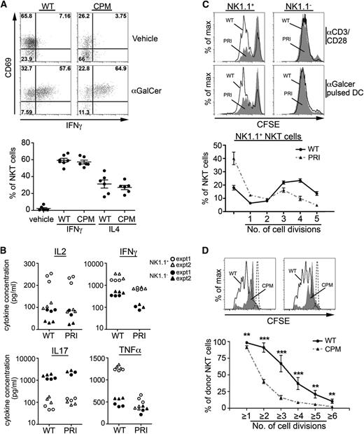 Figure 6. DOCK8 is necessary for normal NKT effector responses: intact TCR signaling but defective antigen-induced proliferation and cytokine production. (A) WT and DOCK8cpm/cpm (CPM) mice were examined for cytokine responses 1 hour after injection with αGalCer by staining for CD69 and IFNγ and IL-4 staining by intracellular cytokine staining (upper). Graph (lower) showing the percentage of IFNγ or IL-4 secreting NKT cells in individual mice (circles) with arithmetic means and standard error of the mean. (B) Levels of secreted cytokines from 24-hour cultures of sorted thymic NK1.1+ and NK1.1− NKT cells from WT and DOCK8pri/pri (PRI) mice activated in vitro with plate bound anti-CD3/CD28. Symbols represent replicate measurements with data from 2 independent experiments. (C) Proliferation of CFSE-labeled thymic NK1.1+ and NK1.1− NKT cells sorted from DOCK8pri/pri (PRI, filled) and WT mice (WT, black line) and cultured for 3 days with plate bound anti-CD3/CD28 and αGalCer pulsed dendritic cells. Cell divisions from replicate cultures from 1 experiment with dendritic cells (lower) show arithmetic means and standard deviation. (D) Proliferation of CFSE-labeled thymic NKT cells from WT and DOCK8cpm/cpm (CPM) mice adoptively transferred into WT mice and immunized with 1 μg αGalCer per mouse. Histograms (top) show NKT cells from WT (black line), DOCK8cpm/cpm (CPM, filled), and untreated (dotted line) mice after 4 days. Cell divisions (bottom) show arithmetic means and standard deviation. Statistical significance was tested by unpaired t test; *P < .05; **P < .01; ***P < .001.