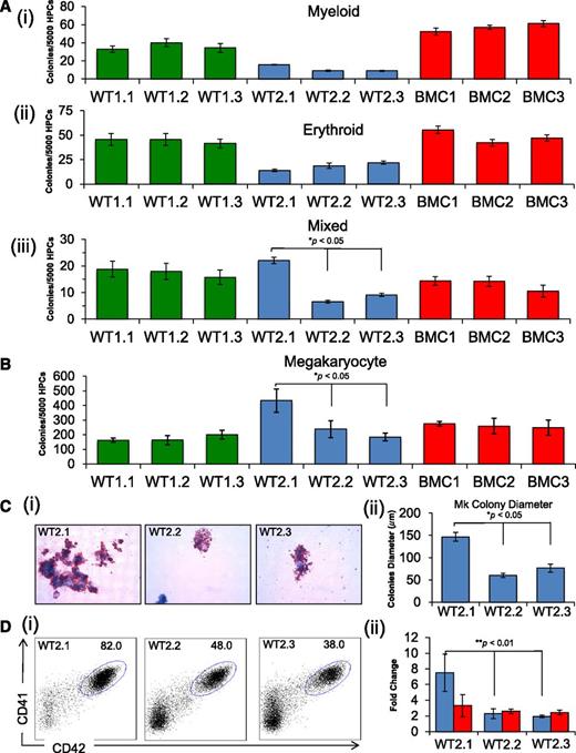 Figure 2. In vitro differentiation of iPSC lines showing selective skewing toward megakaryopoiesis. (A) Methylcellulose progenitor assay of iPSC-derived HPCs from day 7 of differentiation. The panels show myeloid (i), erythroid (ii), and mixed (iii) colonies (mean ± SEM for 3 independent experiments, *P < .05). (B) Collagen-based colony assay to assess megakaryocyte (Mk) potential of iPSC-derived HPCs. (C) Images (i) of Mk colonies were captured by the Zeiss Axioskop2 microscope (Munich, Germany) (original magnification ×20), and (ii) size as a measure of Mk colony diameter (μm) (mean ± SEM for 3 independent experiments, *P < .05). (D) Assessment of megakaryocytic development from HPCs grown in liquid culture with thrombopoietin, interleukin 3, and SCF. The percentage of CD41a (αIIb, x-axis) and CD42a (GPIX, y-axis) Mk (i) are compared for CHOPWT2 lines, and (ii) total Mk number (blue) and non-Mk (red) cells are represented as fold change above the starting number of cells (mean ± SEM for 3 independent experiments, **P < .01).