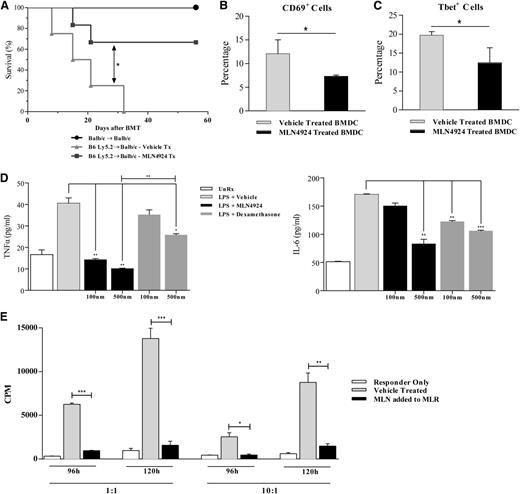 Figure 4. Neddylation blockade regulates DC-mediated T-cell activation. (A) Survival of BALB/C animals lethally irradiated and transplanted with BM and CD90.2+ T cells from either syngeneic BALB/C or allogeneic C57BL/6 donors. Following lethal irradiation (8 Gy) on day 1, MLN4924 (20 mg/kg) was administered in 5 daily doses, day 1 to day 3 relative to BMT. Data are combined from 2 independent experiments (n = 10 to 12 animals in the allogeneic groups). (B-C) Abb animals were lethally irradiated (10 Gy) on day 1 and WT B6 BMDC (10 × 106) pretreated with vehicle or MLN4924 overnight and subsequently transferred in 2 doses separated by 24 hours (day 1 and day 0). CD90.2+ T cells (2 × 106) from syngeneic WT-C57BL/6 or allogeneic bm12 animals were transferred on day 0. Following sacrifice on day 6, spleens were analyzed for CD69 (B) and Tbet (C). (D) Quantification via ELISA of TNF-α (left) and IL-6 (right) released from human moDCs stimulated with LPS in the presence or absence of MLN4924 or dexamethasone at the indicated doses. Cells receiving treatment were preincubated with vehicle, MLN4924, or dexamethasone for 2 hours followed by concurrent LPS stimulation (0.5 µg/mL) for 4 hours. One representative experiment of 3 is shown of groups treated in triplicate. (E) Human PBMCs (1 × 105/well) and moDCs were obtained from 2 healthy donors and cocultured at 1:1 and 10:1 ratios in an MLR in the presence or absence of MLN4924 for 96 and 120 hours.