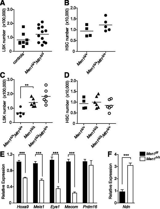 Figure 1. Steady-state HSC-enriched populations do not depend on menin-MLL1 collaboration despite a reduction in shared target genes. LSK cells (A) or HSCs (B) (defined as LSK/CD48−/CD150+) are not reduced in double heterozygous BM. Men1 or Mll1 alleles were deleted by pI:pC injection and animals were analyzed 12 to 13 days after the first injection. (A) Controls include both Mx1-cre–negative and Mx1-cre;Men1f/+ animals, whereas controls in panel B are Mx1-cre;Men1f/+ (denoted as Men1Δ/+). Data from 2 experiments were pooled and 8- to 12-week-old mice were analyzed (A, n = 8-12 animals per genotype, P = .1164; B, n = 4-6 animals per genotype, P = .1712). (C) LSK cell quantification in Men1-deficient (Men1Δ/Δ) vs Men1-deficient;Mll1-heterozygous (Men1Δ/Δ;Mll1Δ/+) BM. Cells were produced as described previously, n = 5-6 animals per genotype, P = .1011 for the comparison between Men1Δ/Δ and Men1Δ/Δ;Mll1Δ/+. (D) HSC quantification in Men1Δ/Δ and Men1Δ/Δ;Mll1Δ/+ BM, n = 4-6 animals per genotype, P = .3451 for the comparison between Men1Δ/Δ and Men1Δ/Δ;Mll1Δ/+ BM. Animals were 8 to 9 weeks old when analyzed. (E-F) Gene expression in Men1Δ/Δ and wild-type Men1f/f LSK cells. LSK cells were sorted from 10- to 12-week-old animals 9 days after the first pI:pC injection. Expression levels were normalized to Hprt1, n = 3-4 animals per genotype. Statistical significance was determined using the unpaired Student t test; error bars represent 95% confidence intervals; ***P ≤ .001; **P ≤ .01.