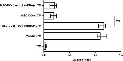 Figure 4. The induction of tolerogenicity in mDCs by MSCs was dependent on TIEG1. The mDCs infected with TIEG1 shRNA (h) lentivirus or control shRNA lentivirus were incubated with MSCs for 3 days and sorted using immunomagnetic beads. The sorted DCs were then cocultured with CFSE-labeled allogeneic CD4+ T cells for 3 days, and analyzed for T-cell proliferation. Each bar represents the division index of lymphocyte proliferation. LYM, CFSE-labeled CD4+ T lymphocytes. mDCs + LYM, labeled T cells cocultured with mDCs. MSC-DCs (TIEG1 shRNA) + LYM, labeled T cells cocultured with lentivirus-infected mDCs after incubation with MSCs. MSC-DCs + LYM, labeled T cells cocultured with mDCs after incubation with MSCs. MSC-DCs (control shRNA) + LYM, labeled T cells cocultured with control lentivirus-infected mDCs after incubation with MSCs. Data represent median with interquartile range from 3 independent experiments. Differences between 2 groups were compared using the Mann-Whitney U test. *P < .05; **P < .01.