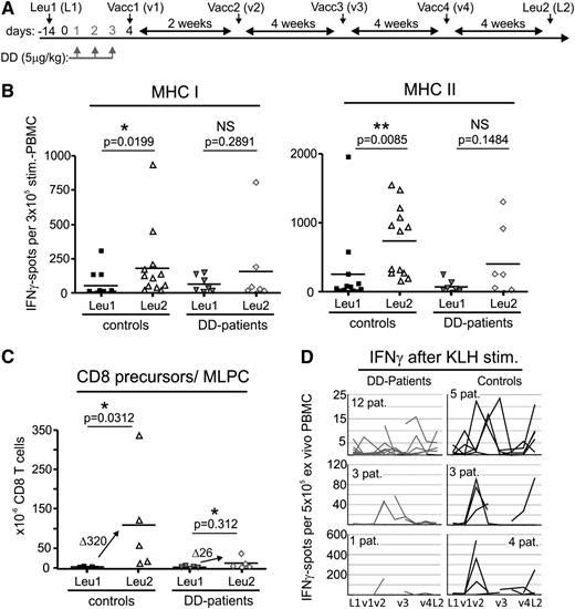 Figure 1. DC-vaccinated patients with melanoma pretreated with DD have a reduced immune response against the tumor vaccine and a lowered IFNγ response to KLH. (A) DD pretreatment and DC vaccination scheme. Ontak (DD) was given to patients intravenously on 3 consecutive days (days 1-3). On day 4, the first of 4 DC vaccine aliquots (v1-v4) was injected intracutaneously. The remaining aliquots were administered as indicated (every 2-4 weeks). Immunomonitoring was performed with TAA-prestimulated PBMC at Leu1 (L1) and Leu2 (L2) (see panels B-C). Additional monitoring was performed ex vivo with KLH at Leu1 (L1), times of vaccination (v1-v4), and Leu2 (L2) (see panel D). Vacc (vaccination), Leu (leucapheresis). (B) IFNγ EliSpots of peptide-prestimulated PBMC (see “Materials and methods”) against vaccinated TAA after 4 vaccinations (Leu2) compared with Leu1 (prevaccination) assessed separately for MHC class I and II peptides; Note that only those patients reaching Leu2 and able to provide sufficient PBMC could be included. The statistical analysis is based on the paired Student t test, 1-tailed, followed by the Wilcoxon signed rank-sum test. Lines in the scatterplots represent the median of all values. (C) Increase of CD8+ T-cell precursors in DD patients and control patients as measured by MLPC limiting dilution after 4 vaccinations. Statistical analysis is as in (B); lines in the scatterplot represent the median of respective values. The increase of spots is expressed as Δ median values. Note that only those patients able to provide enough PBMC at Leu2 could be included. (D) Number of IFNγ ex vivo KLH-specific EliSpots (broken up into 3 groups based on the number of EliSpots) assessed during the course of 4 vaccinations for 16 DD-pretreated patients and 12 control patients at indicated time points if PBMC were available.