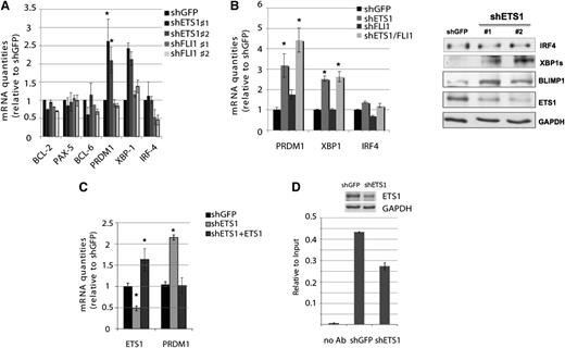 Figure 4. ETS1 regulates genes involved in B-cell differentiation. (A) RNA levels of BCL2, PAX5, BCL6, PRDM1, XBP1, and IRF4 and β2-microglobulin transcripts after ETS1 or FLI1 down-regulation were determined by real-time PCR (day 5). Histogram graphs represent the average of at least 3 independent experiments. *P value < .05. (B) Left: RNA levels of PRDM1, XBP1, and IRF4 and β2-microglobulin transcripts were determined by real-time PCR after concomitant ETS1 and FLI1 down-regulation (day 3). *P value <.05. Right: western blot analysis with antibodies against ETS1, PRDM1, IRF4, active splice form XBP1s, and GAPDH as loading control after shETS1 (day 5). (C) ETS1 reintroduction restores PRDM1 mRNA levels in OCI-Ly7. RNA levels of ETS1 and PRDM1 were determined by real-time PCR at 24 hours after ETS1 reexpression in cells previously interfered for ETS1 expression. *P value < .05. (D) Chromatin immunoprecipitation analysis of PRDM1 promoter performed with antibody against ETS1 in OCI-Ly7 infected with the control shGFP or shETS1 lentivirus. Input and immunoprecipitated DNA was amplified by quantitative real-time PCR using primers amplifying the Δ-1100/-939 bp region of the PRDM1 promoter. Enrichments are presented as percentage of total input DNA. Upper: western blot analysis of ETS1 after shRNA.
