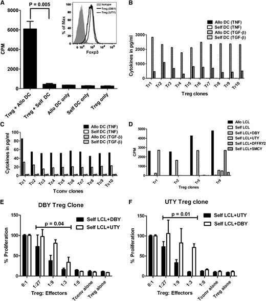 Figure 1. mHA-specific Treg proliferative response. (A) Tregs were purified from a normal donor and stimulated with γ-irradiated dendritic cells from an HLA-matched sibling in the presence of rapamycin (100 ng/mL), IL-2 (10 U/mL), and IL-15 (10 ng/mL). Each bar represents mean + SD of 3H-thymidine uptake (in CPM) on day 6 of culture. The inset shows Foxp3 expression of DBY-specific (bold line) and UTY-specific (thin line) Treg clones by flow cytometry. (B,C) Identification of mHA-specific T-cell clones. Treg (B) and Tconv (C) cells were obtained from a female, purified, and stimulated with γ-irradiated dendritic cells from an HLA-matched brother; wells positive for TGF-β release were pooled and cloned by limiting dilution. After 14 days, wells containing Tconv or Treg clones were split into 2 and restimulated with allogeneic (male) or self- (female) DCs for 24 hr. Each bar represents TGF-β or TNF released by mHA-specific T-cell clones in the culture supernatant after restimulation with allogeneic DCs or self-DCs. (D) mHA-specific Treg clones were tested for proliferative response to allogeneic LCL, self-LCL, or self-LCL transduced with DBY, UTY, DFFRY-2, or SMCY. Results shown here are CPM and are representative of 2 experiments. (E) The DBY-specific Treg clone was cultured with a different ratio of autologous-DBY–specific Tconvs in the presence of DBY-transduced autologous LCL, with autologous-UTY–specific Tconvs in the presence of UTY-transduced auto-LCL as specificity control. Mean CPM of DBY- or UTY-specific Tconvs with the stimulators alone was 3919 and 4914, respectively. (F) The UTY-specific autologous Treg clone was cultured with a different ratio of autologous-UTY–specific Tregs in the presence of UTY-transduced autologous LCL, with autologous-DBY–specific Tconvs in the presence of DBY-transduced autologous LCL as specificity control. Mean CPM of UTY- or DBY-specific Tconvs with the stimulators alone was 4906 and 4053, respectively. P values refer to the difference in suppression of specific vs control Tconvs by the ANOVA model.