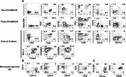 Figure 3. Phenotypic characterization of Tregs and monocyte-derived DCs from leukapheresis. (A) Phenotype of Tregs from donor leukapheresis before and after enrichment and after large-scale expansion. Mononuclear cells were obtained from blood cell apheresis followed by positive selection with CD25 paramagnetic beads for immunoabsorption on column by CliniMACS. The top row (pre-CliniMACS) shows phenotype of mononuclear cells after donor apheresis. The second row (post-CliniMACS) shows viability, phenotype, and purity of Tregs after CliniMACS separation. The third and fourth data rows show Treg viability, phenotype, and purity after 12-day ex vivo expansion using DCs from an HLA-identical sibling, IL-2, IL-15, and rapamycin. Viability was assessed by Qdot 585-A exclusion, and viable cells were gated for marker studies. CD3+/CD4+ double-positive cells were gated for assessment of CD25 and CD127 expression. CD25+/CD127− cells were gated for assessment of Foxp3, BCL-2, CD45RA, and CCR7 expression. Cells other than CD4 from the end-of-culture population were also tested. Cell separation and culture was performed in the cell therapy core facility at Moffitt Cancer Center. (B,C) Surface phenotype of cells enriched for monocyte-derived DCs before coculture with Tregs. All flow-cytometric plots are gated on live cells, and HLA-DR, CD86, and CD83 plots are also gated on CD11c+/CD14− cells.