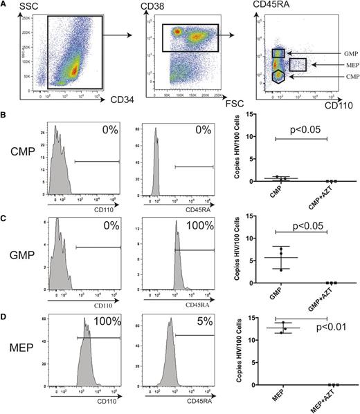 Figure 3. Intermediate hematopoietic progenitors are increasingly permissive to HIV-1 infection in vitro with progressive development. (A) CD34+ cells were sorted to high purity by MACS from mononuclear cells purified from human fetal liver. Flow cytometry shows that of the live sorted cells, 98% express CD34 (left). From these, CD38+ cells were sorted to isolate each subpopulation of intermediate hematopoietic progenitors (center). The CMP, MEP, and GMP are all CD34+CD38+; the CMP expresses neither CD45RA nor CD110. Only the MEP expresses CD110; the GMP is CD45RA+CD110− (left). (B) Purity of the sorted CMP is indicated by CD110 expression (left) and CD45RA expression (center). Cells were infected with HIV89.6 and assayed by qRT-PCR 48 hours later for full-length viral DNA (right) in the presence or absence of AZT. Each mark indicates a single donor; the data represent the mean ± SEM. (C) Purity of sorted GMP indicated by CD110 expression (left) and CD45RA expression (center). (D) Purity of the sorted MEP indicated by CD110 expression (left) and CD45RA expression (center). FSC, forward scatter; SSC, side scatter.