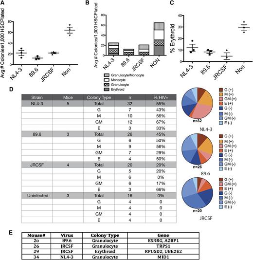 Figure 5. HPCs from HIV-infected NSG-BLT mice generate colonies that harbor proviral DNA. (A) The total number of colonies that develops from each infected mouse is significantly less than those from uninfected mice. Each mark represents the average of triplicate assays in a single mouse; the total data represent the pooled mean ± SEM from all mice. (B) Phenotypic analysis of colonies indicates significant differences in lineage commitment from HSC derived from infected mice compared with uninfected mice. (C) Erythroid lineage development is particularly impaired in the HSC derived from HIV-1–infected mice. Each mark represents the average of triplicate assays in a single mouse; the total data represent the pooled mean ± SEM from all mice. (D) Colonies derived from human CD34+ cells isolated from the bone marrow of infected and uninfected mice were assayed by qRT-PCR for the presence of full-length viral DNA. Colonies were first phenotyped visually by light microscopy. E, erythroid; G, granulocyte; GM, granulocyte-macrophage mixed; M, macrophage. Percentages are of that particular colony type in which HIV was detected compared with the total number of that colony type assayed. (E) HIV+ colonies were assayed by alu-Gag PCR to determine integration site. Following successful amplification, amplicons were sequenced to determine the gene into which the virus integrated. Four different mice were assayed, representing infection by each of the 3 viral strains.