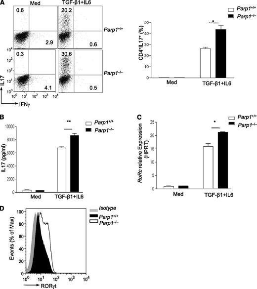Figure 4. Greater differentiation of Th17 in PARP-1−/− T cells in vitro. (A) Scatterplot (left) of staining of IL-17 vs IFNγ on sorted CD4+ T cells from PARP-1−/− or PARP-1+/+ littermate controls stimulated with anti-CD3 (0.5 µg/mL) antibody and PARP-1+/+ APCs in the absence (Med) or presence of TGF-β1 plus IL6 (TGFβ1+IL6) for 4 days. Data are representative of 2 independent experiments. The histogram (right) is summarized analysis of 2 experiments. *P < .05 (unpaired 1-tailed Student t test). (B) IL-17 levels in supernatants from cultures described in panel A (mean ± SEM of duplicate measurements). (C) Quantitative PCR analysis of Rorc expression in CD4+CD25− T cells from PARP-1−/− or PARP-1+/+ littermate controls stimulated with an anti-CD3 (0.5 µg/mL) antibody and PARP-1+/+ APCs in the absence (Med) or presence of TGF-β1 plus IL6 (TGFβ-1+IL6) for 2 days (mean ± SEM of duplicate measurements). (D) Staining of RORγt in CD4+T cells from PARP-1−/− or age-matched PARP-1+/+ control littermates which were stimulated with anti-CD3 (0.5 µg/mL) antibody and PARP-1+/+ APCs in the absence (Med) or presence of TGF-β1 and IL6 (TGFβ1+IL6) for 4 days. *P < .05; **P < .01 (unpaired 2-tailed Student t test).