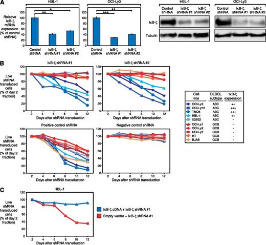 Figure 2. Knockdown of IκB-ζ is toxic to ABC DLBCL. (A) IκB-ζ shRNA 1 and 2 downregulate IκB-ζ mRNA and protein in HBL-1 and OCI-Ly3, measured by quantitative PCR and western blotting. Error bars indicate the standard deviation. (B) IκB-ζ knockdown by 2 independent shRNAs is toxic to IκB-ζ-positive ABC DLBCL cell lines. In contrast, IκB-ζ-negative DLBCLs are not affected by IκB-ζ downregulation. Positive control shRNAs directed against CARD11 (for ABC DLBCL cell lines) or MYC (for GCB DLBCL cell lines) were toxic to all DLBCLs, whereas a negative control shRNA against MSMO1 is not toxic to any cell line. Representative results from at least 3 independent replicates are shown. Baseline expression of IκB-ζ in the investigated cell lines is indicated, based on western blotting (Figure 1C). (C) Exogenous expression of IκB-ζ cDNA rescues HBL-1 cells from IκB-ζ shRNA-mediated toxicity. Representative results from 3 independent replicates are shown. *P < .05; **P < .01; ***P < .001.