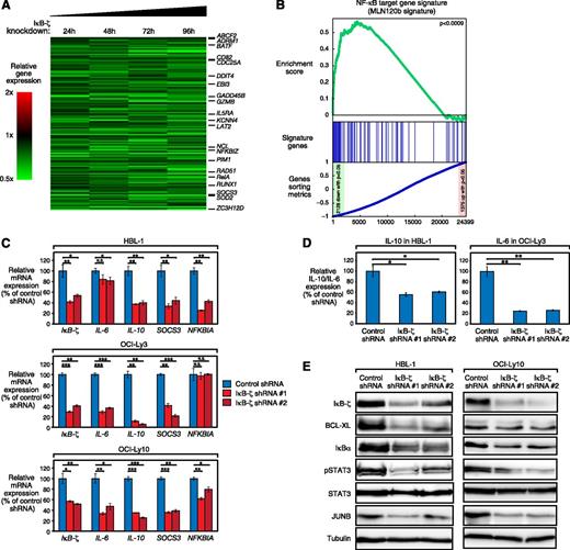 Figure 3. IκB-ζ downregulation deregulates NF-κB activity in ABC DLBCL. (A) Gene expression profiling after IκB-ζ knockdown in HBL-1 cells. Changes of gene expression were profiled at the indicated time points after induction of IκB-ζ shRNA 1. Gene expression changes are depicted according to the color scale shown. Known NF-κB target genes and genes involved in processes such as inflammation are highlighted. (B) Gene set enrichment analysis of the MLN120b-defined NF-κB gene expression signature. The NF-κB signature is significantly downregulated after IκB-ζ knockdown. (C) IκB-ζ knockdown downregulates NF-κB target genes in HBL-1, OCI-Ly3, and OCI-Ly10, as measured by quantitative PCR. Error bars indicate the standard deviation. (D) IκB-ζ knockdown downregulates IL-10 in IL-10-expressing HBL-1 and IL-6 in IL-6-expressing OCI-Ly3 cells measured by ELISA. Error bars indicate the standard deviation. (E) IκB-ζ knockdown downregulates NF-κB targets in HBL-1 and OCI-Ly10, as measured by western blotting. N.S., not significant; *P < .05; **P < .01; ***P < .001.