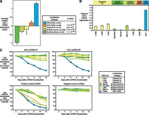 Figure 5. Other NF-κB–dependent lymphoma subtypes are not addicted to IκB-ζ signaling. (A) ABC DLBCLs express higher IκB-ζ mRNA levels compared with other NF-κB–dependent and independent lymphoma subtypes. Error bars depict the standard error of the mean. (B) IκB-ζ is highly expressed in the ABC DLBCL cell line HBL-1. In contrast, in cHL, BL, MM, and GCB DLBCL cell lines, only low IκB-ζ expression is detectable by quantitative PCR. Error bars indicate the standard deviation. (C) Knockdown of IκB-ζ by 2 independent shRNAs is not toxic to BL, cHL, and MM cell lines. A positive control shRNA directed against MYC is toxic to all cell lines, whereas a negative control shRNA against MSMO1 is not toxic to any cell line. Representative results from at least 3 independent replicates are shown.