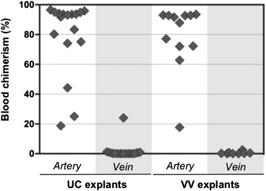 Figure 6. Pre-HSC activity is associated with extraembryonic arteries, but not veins. Arteries and veins subdissected from UC and VV were cultured separately for 4 days with GFs (IL-3 + SCF + Flt3l) and transplanted into irradiated recipients (1 e.e. per mouse). Donor engraftment was assessed 12 to 14 weeks posttransplantation (n = 5 independent experiments).